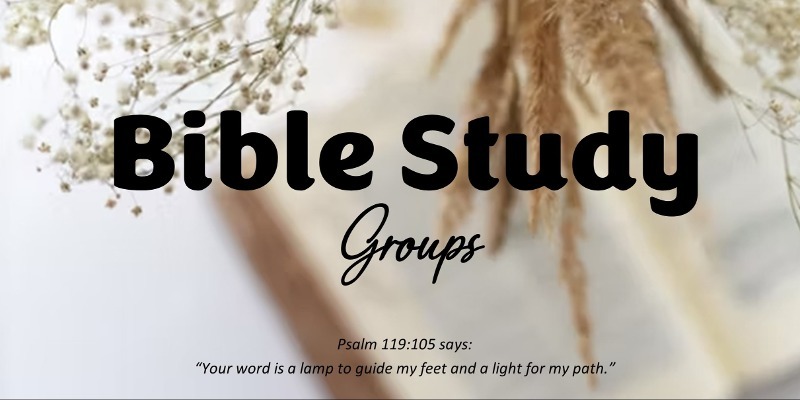 Bible Study Groups with text